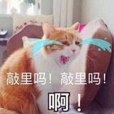 可乐^…^