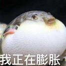 柳竹晨