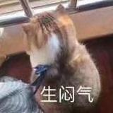 阿宅°