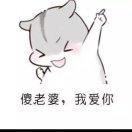 七窍通了六窍一窍未通