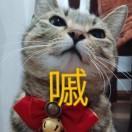 棘鱼