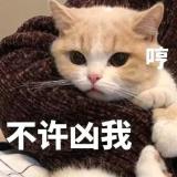 南风知我意