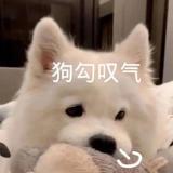 书友45852