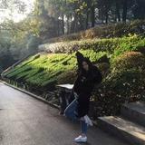 小马哥