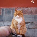 书友65040