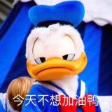看我鸭的
