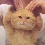 镜若凝