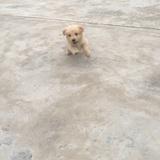志成穆