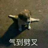 梦醒时分