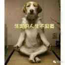 @Z@Z@G@