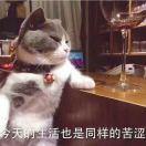 闷骚老男人