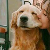 捉了一缕风