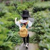 云起惊澜