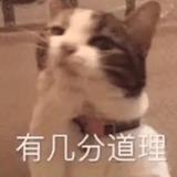 A-奶酪蜜桃派