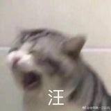 三三燕窝
