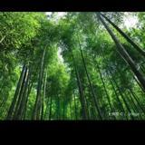 不要飘