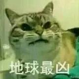艾洛博因