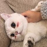 江南溪暮