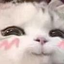 薯片麻袋