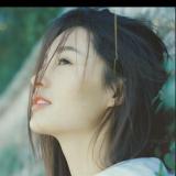 菀柳