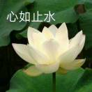 病灶添
