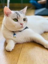 好书宝