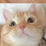 未闻