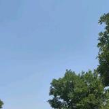 望穿冬水