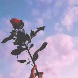 爱somi