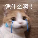我爱五三