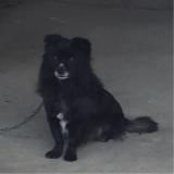 我本无意穿堂风