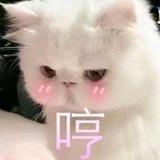 迷迷糊糊