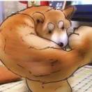书友37958