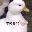 蒜头兲是爸爸