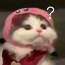 一条信理的锦鲤