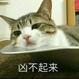 落烙