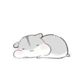 小宇淅淅