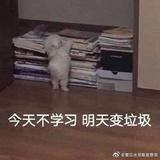 胡大姐是我