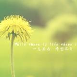 为梦喧闹只为你