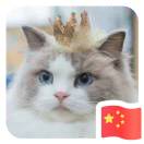 书友82968