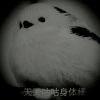 白见心