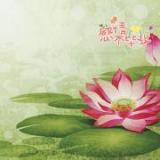 凝望015