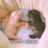 瓜瓜小瓜