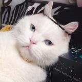 程锦
