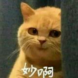 墨古灵日