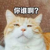 咔叽