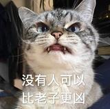 迷失先森