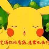 皮卡球