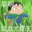 moon不猪