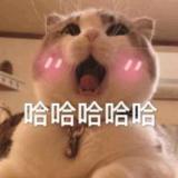 岑先生